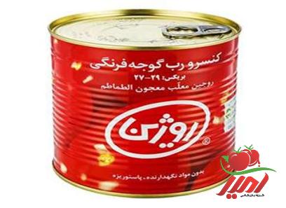 بهترین کنسرو رب گوجه فرنگی قطعه قطعه شده روژین + قیمت خرید عالی