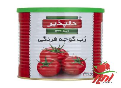 راهنمای خرید رب گوجه فرنگی دلپذیر – 800 گرم + قیمت عالی